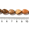 Natural Picture Jasper Beads Strands G-I377-A17-5