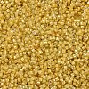 MIYUKI Delica Beads X-SEED-J020-DB2041-3