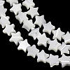 Natural Trochid Shell/Trochus Shell Beads Strands SH-CBA2978-17A-3