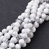 Natural Howlite Bead Strands G-G735-66-6mm-1