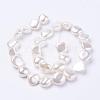 Shell Pearl Beads Strands BSHE-L035-F01-2