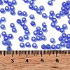 8/0 Glass Seed Beads SEED-Z001-C-E06-4