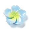 Opaque Resin Cabochons RESI-G068-02A-1