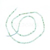 Natural Chrysoprase Beads Strands G-O180-01C-2