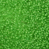 12/0 FGB Grade A Round Glass Seed Beads SEED-Q006-M19-2