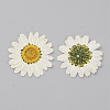 Pressed Dried Flowers DIY-WH0308-412D-1-1