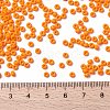 MIYUKI Round Rocailles Beads X-SEED-G008-RR0405-4