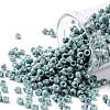 TOHO 8/0 Round Beads SEED-XTR08-1207-1