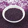 MIYUKI Round Rocailles Beads X-SEED-G009-RR3546-2