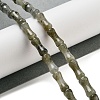 Natural Labradorite Beads Strands G-Q178-A09-01-2