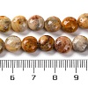 Natural Crazy Agate Beads Strands G-T047-A23-01-5