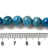 Natural Apatite Beads Strands G-S150-18-8mm-5