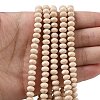 Natural Fossil Bead Strands G-D344-A23-2