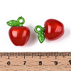 Korea Acrylic Pendants OACR-L009-H02-3
