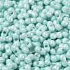 Opaque Colours Luster Glass Seed Beads X1-SEED-B001-01A-08-3