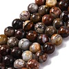 Natural Mexico Crazy Agate Beads Strands G-L615-A01-02-1