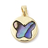 Natural Paua Shell Butterfly Pendants KK-F877-03G-1