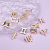 Fashewelry Alloy Charms FIND-FW0001-02-12