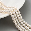 Natural Cultured Freshwater Pearl Beads Strands PEAR-C003-17A-2