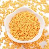 Baking Paint Glass Seed Beads SEED-A033-04K-2