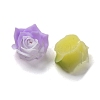 Luminous Resin Decoden Cabochons RESI-Z032-05A-4