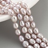 Natural Cultured Freshwater Pearl Beads Strands PEAR-P062-06C-1-2