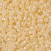 TOHO 8/0 Round Beads X-SEED-TR08-0901-2