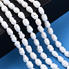 Natural Cultured Freshwater Pearl Beads Strands PEAR-N012-03J-6