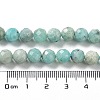 Natural Amazonite Beads Strands G-J400-E11-07AB-5