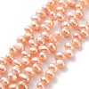 Natural Cultured Freshwater Pearl Beads Strands PEAR-J007-81B-1