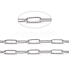 304 Stainless Steel Paperclip Chains CHS-D033-06P-01-2