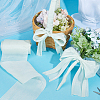 Chiffon Ribbon OCOR-WH0101-220A-4