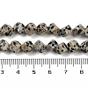 Natural Dalmatian Jasper Beads Strands G-A257-A17-01-5