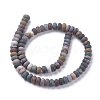 Natural Ocean Jasper Beads Strands G-F668-06-B-2