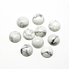 Natural Howlite Cabochons X-G-R416-16mm-29-1