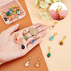   20Pcs 10 Colors Natural Gemstone Pendant Decoration HJEW-PH0001-44-5