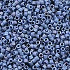 MIYUKI Delica Beads LS-X-SEED-J020-DB2317-2