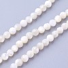 Shell Beads Strands G-F619-27-3mm-1