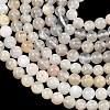 Natural White Moonstone Beads Strands LS-G-C277-A01-6mm-4