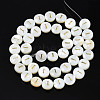 Natural Freshwater Shell Beads SHEL-S276-168I-2