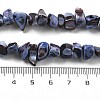 Dyed Natural Trochus Shell Beads Strands BSHE-Z006-01C-4