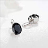 Oval Alloy Rhinestone Leverback Earrings FS-WG5DBAA-05-1