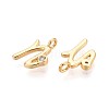 Brass Micro Pave Cubic Zirconia Charms KK-N263-97G-N-2
