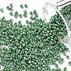 (Repacking Service Available) Glass Seed Beads SEED-C021-4mm-127-1