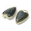 Natural Labradorite Pendants G-O204-02F-2