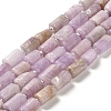 Natural Kunzite Beads Strands G-N327-06-36-1