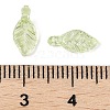 Transparent Acrylic Charms TACR-F009-11B-3