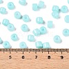 Opaque Baking Paint Glass Seed Beads SEED-T008-02N-5