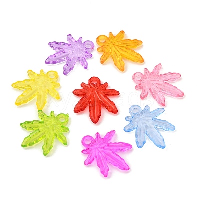 Transparent Acrylic Pendants PL711Y-1