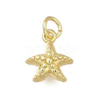 Brass Charms LS-ZIRC-I070-085G-1